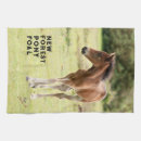 Search for foal Photography