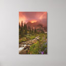 Search for pines art Flower
