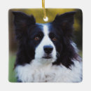 Search for border collie puppy christmas tree decorations Puppies