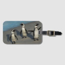 Search for penguin luggage tags Nature