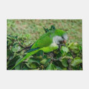 Search for parrot doormats Bird