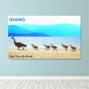Search for canada canvas prints Animals