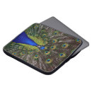 Search for plumage cases Wildlife