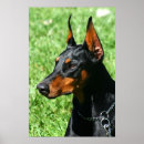 Search for business cards art Dog