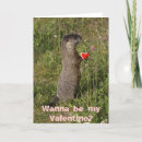 Search for marmot cards Rodent