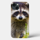 Search for mammal ipad cases Procyon lotor