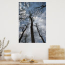 Search for cloudy sky posters Photography