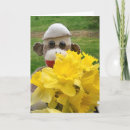 Search for daffodils thank you cards Appreciation