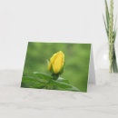 Search for rosebud cards Nature