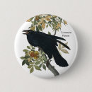 Search for common as a badges Bird