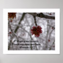 Search for scripture winter posters Frost