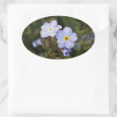 Search for forget me not flowers stickers Blue
