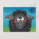 Search for black sheep postcards Nature