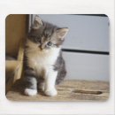 Search for cuddly mousepads Adorable