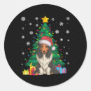 Search for bearded collie stickers Funny