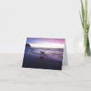 Search for beach memorial Pets