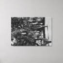 Search for hi canvas prints Hawaii