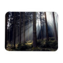 Search for bavaria magnets Forest