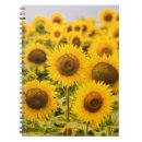 Search for field notebooks Summer