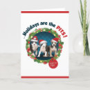 Search for pitbull christmas cards Puppies