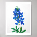 Search for lone star art Bluebonnet