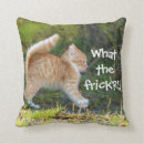 Search for ginger cat cushions Humour