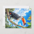 Search for toucans postcards South america