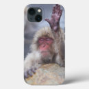Search for baby monkey iphone cases Japanese macaque