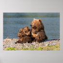 Search for kamchatka posters Russia
