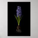 Search for fragrant posters Purple
