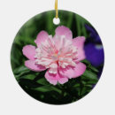 Search for peony christmas tree decorations Flower
