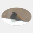 Search for junco stickers Dark eyed