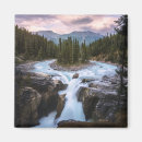 Search for jasper magnets Forest