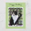 Search for tuxedo postcards Black and white