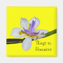 Search for lillies magnets White
