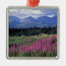 Search for land christmas tree decorations Environment