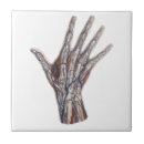 Search for vintage anatomy coasters Retro