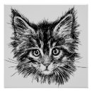 Search for fuzzy cat posters Feline