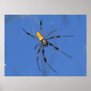 Search for hang out posters Wildlife