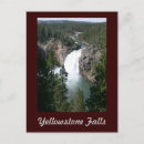 Search for yellowstone postcards Vacation