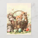 Search for cat basket cards Floral