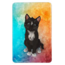 Search for cat magnets Colourful