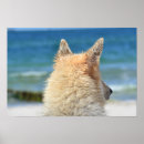Search for german shepherd art Animal