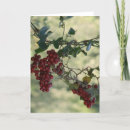 Search for outdoors christmas cards Nature