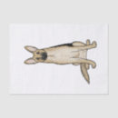 Search for german shepherd tissue paper Dog