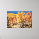 Search for landscape canvas prints Autumn