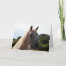 Search for backlit cards Stallion