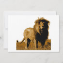 Search for stands invitations Animal