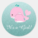 Search for animal envelope seals Whale