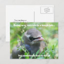 Search for humorous postcards Quote